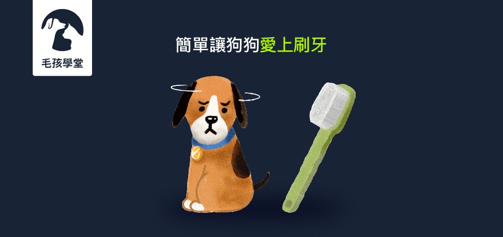 每次要幫狗狗刷牙都上演「人狗大戰」？寵物訓練師教你簡單4步驟，簡單讓狗狗愛上刷牙！